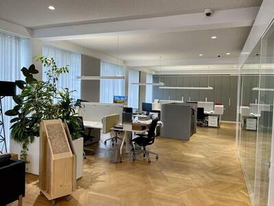 Gewerbeobjekt mieten in 1010 Wien (Bild 2)