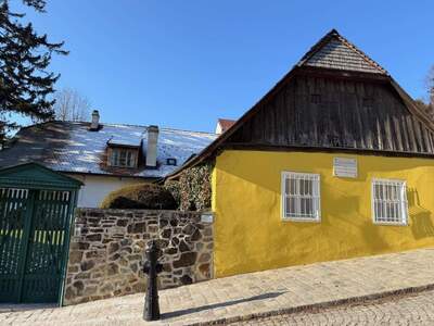 Haus kaufen in 1190 Wien