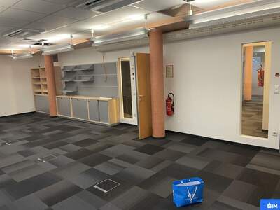 Gewerbeobjekt mieten in 8042 Graz (Bild 4)