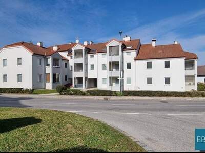 Wohnung mieten in 2462 Kaisersteinbruch