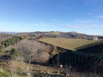 Haus kaufen in 8442 Kitzeck