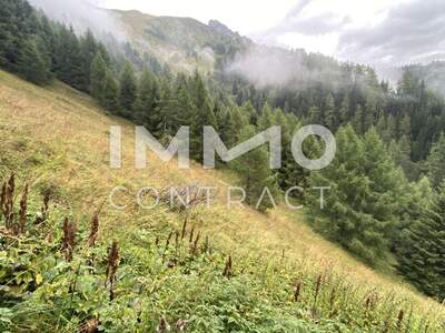 Immobilie kaufen in 9981 Kals (Bild 2)