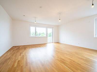 Terrassenwohnung kaufen in 3250 Wieselburg (Bild 5)