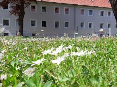 Terrassenwohnung mieten in 4400 Steyr (Bild 1)