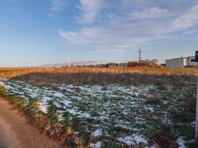Grundstück kaufen in 7100 Neusiedl