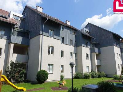 Wohnung mieten in 4560 Kirchdorf (Bild 2)