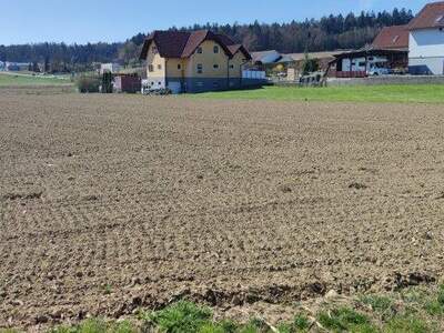 Grundstück kaufen in 8081 Heiligenkreuz (Bild 2)