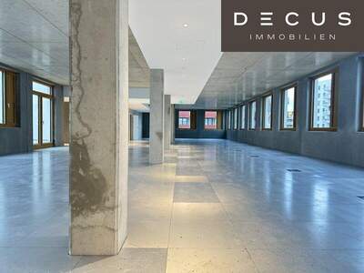 Büro / Praxis mieten in 1230 Wien (Bild 1)