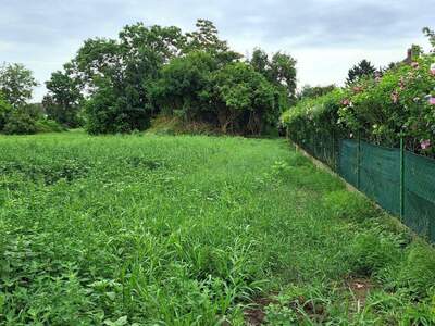 Grundstück kaufen in 2301 Mühlleiten