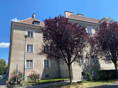 Wohnung mieten in 3500 Krems