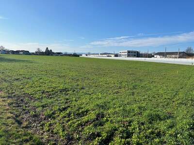 Grundstück kaufen in 8403 Lebring (Bild 5)