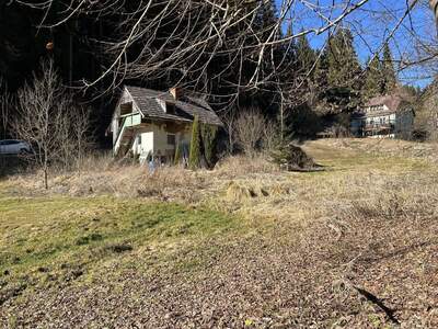 Haus kaufen in 9361 St. Salvator (Bild 3)