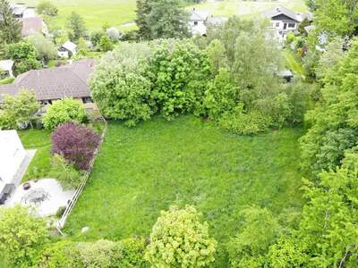 Grundstück kaufen in 4201 Eidenberg (Bild 1)