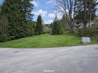 Grundstück kaufen in 8685 Spital