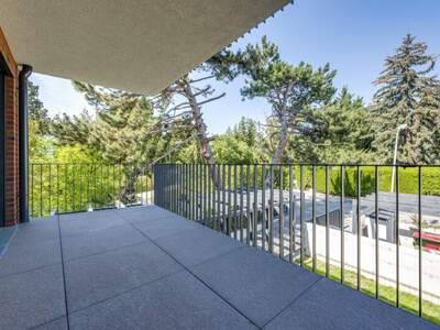 Terrassenwohnung kaufen in 1190 Wien (Bild 4)