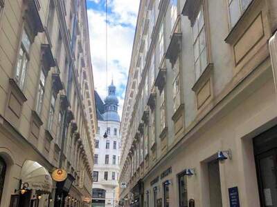 Eigentumswohnung in 1010 Wien