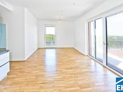 Terrassenwohnung mieten in 1030 Wien (Bild 5)