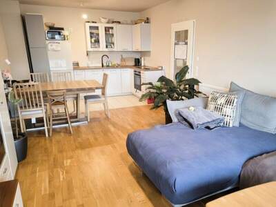 Terrassenwohnung mieten in 3140 Pottenbrunn (Bild 2)