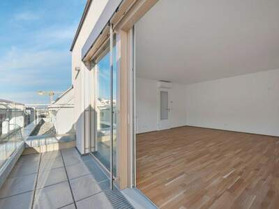 Terrassenwohnung kaufen in 1210 Wien (Bild 1)