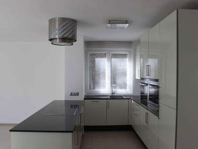 Terrassenwohnung kaufen in 1230 Wien (Bild 3)