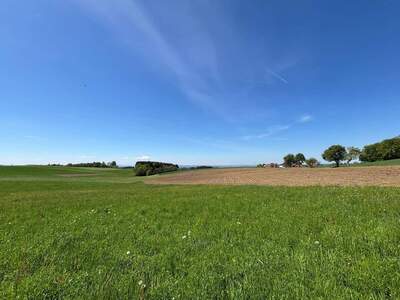 Haus kaufen in 4794 Kopfing