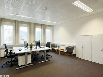 Gewerbeobjekt mieten in 8042 Graz (Bild 3)