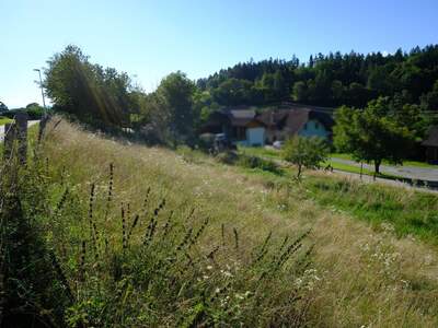 Grundstück kaufen in 9535 Schiefling (Bild 2)