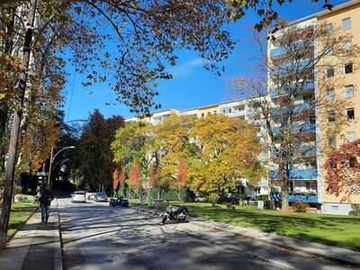 Etagenwohnung provisionsfrei kaufen in 8010 Graz