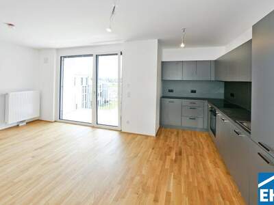 Terrassenwohnung mieten in 1220 Wien (Bild 2)