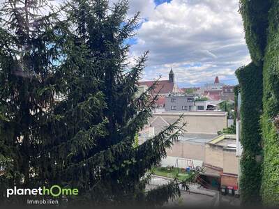 Wohnung kaufen in 2700 Wr. Neustadt (Bild 4)