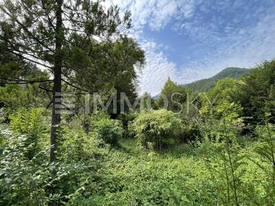 Grundstück kaufen in 2754 Waldegg (Bild 1)