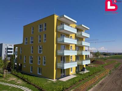 Wohnung mit Balkon kaufen in 4481 Asten (Bild 1)