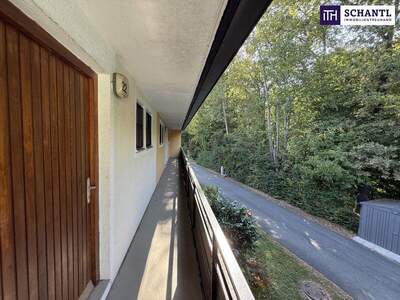 Terrassenwohnung kaufen in 8505 St. Nikolai (Bild 5)