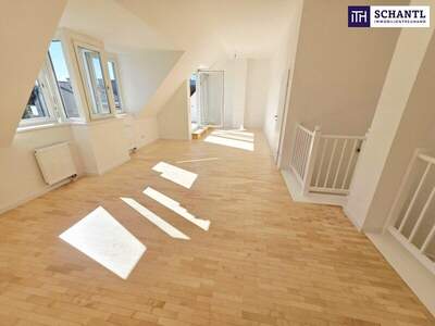 Terrassenwohnung mieten in 1050 Wien (Bild 3)