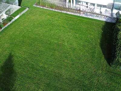 Grundstück kaufen in 6812 Meiningen