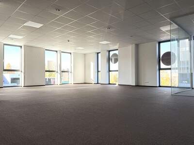 Gewerbeobjekt mieten in 6922 Wolfurt (Bild 3)