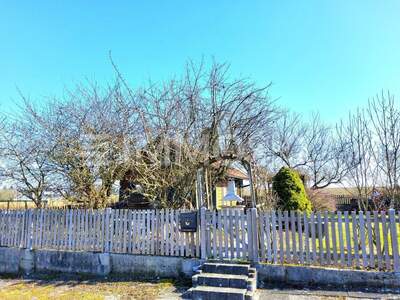 Einfamilienhaus kaufen in 4492 Hofkirchen (Bild 4)