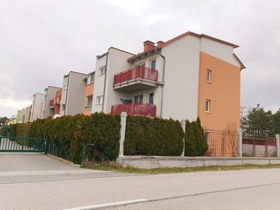 Wohnung mieten in 2601 Sollenau