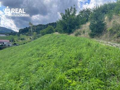 Grundstück kaufen in 8541 Bad Schwanberg (Bild 4)