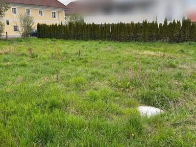 Grundstück kaufen in 4063 Breitbrunn (Bild 4)