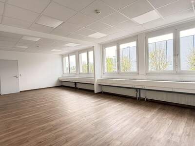 Gewerbeobjekt mieten in 2320 Schwechat (Bild 2)