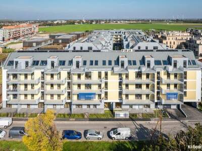 Terrassenwohnung mieten in 1220 Wien (Bild 3)