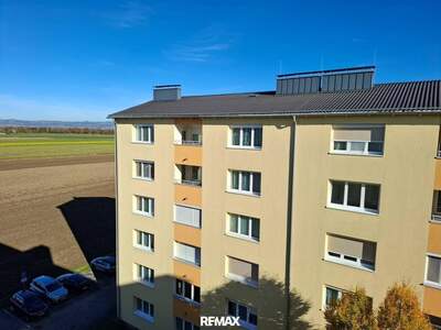 Wohnung mieten in 4300 St. Valentin