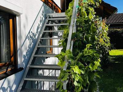 Haus mit Garten kaufen in 4150 Rohrbach (Bild 3)