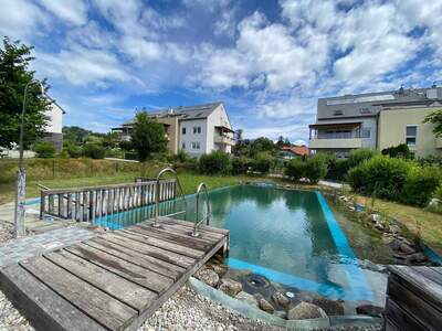 Wohnung mieten in 3233 Kilb