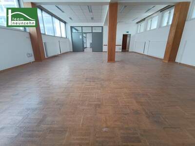 Büro / Praxis mieten in 3500 Krems (Bild 1)
