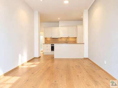 Wohnung kaufen in 4820 Bad Ischl