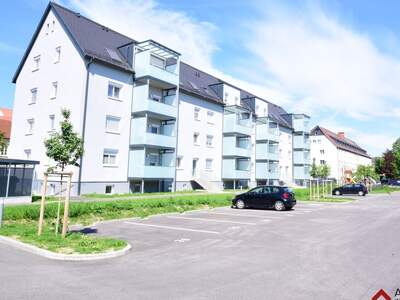 Immobilie mieten in 4600 Wels (Bild 2)