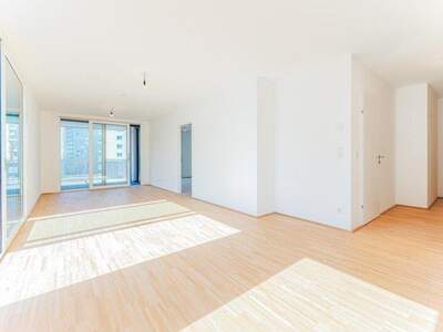 Terrassenwohnung mieten in 1220 Wien (Bild 2)