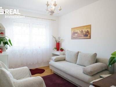 Einfamilienhaus kaufen in 2812 Hollenthon (Bild 1)